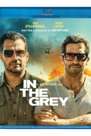 In the Grey (2026) Dual Audio [Hindi ORG-English] BluRay H264 AAC 1080p 720p 480p ESub