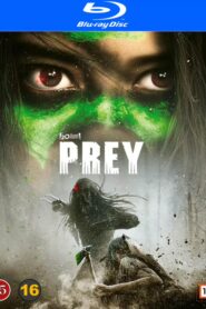 Prey (2022) Dual Audio [Hindi ORG-English] BluRay H264 AAC 1080p 720p 480p ESub