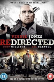 Redirected (2014) Dual Audio [Hindi ORG-English] BluRay H264 AAC 1080p 720p 480p ESub
