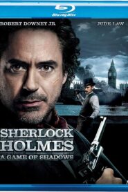 Sherlock Holmes: A Game of Shadows (2011) Dual Audio [Hindi ORG-English] BluRay H264 AAC 1080p 720p 480p ESub