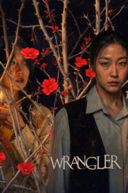 Wrangler (2026) Dual Audio [Hindi ORG-Korean] Amazon WEB-DL H264 AAC 1080p 720p 480p ESub