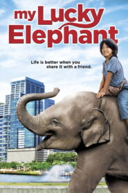 My Lucky Elephant (2013) Dual Audio [Hindi ORG-Portuguese] Amazon WEB-DL H264 AAC 1080p 720p 480p ESub