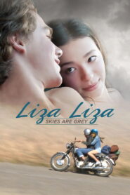 Liza Liza Skies Are Grey (2016) Dual Audio [Hindi ORG -English] Amazon WEB-DL H264 AAC 1080p 720p 480p ESub