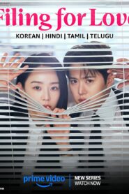 Filing for Love (2026) S01 Dual Audio [Hindi ORG-Korean] Amazon WEB-DL H264 AAC 1080p 720p 480p ESub