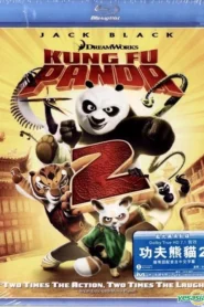 Kung Fu Panda 2 (2011) Hindi Dubbed Netflix WEB-DL H264 AAC 1080p 720p 480p ESub