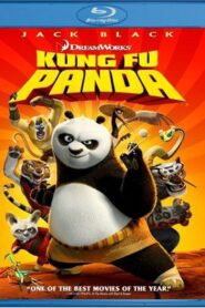 Kung Fu Panda (2008) Hindi Dubbed Netflix WEB-DL H264 AAC 1080p 720p 480p ESub