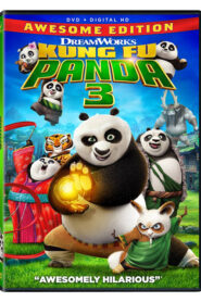 Kung Fu Panda 3 (2016) Hindi Dubbed Netflix WEB-DL H264 AAC 1080p 720p 480p ESub