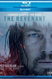 The Revenant (2015) English BluRay H264 AAC 1080p 720p 480p ESub