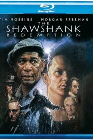The Shawshank Redemption (1994) Dual Audio [Hindi ORG-English] BluRay H264 AAC 1080p 720p 480p ESub