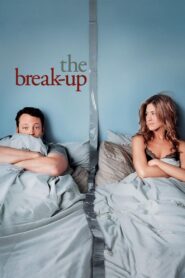 The Break Up (2006) Dual Audio [Hindi ORG-English] BluRay H264 AAC 1080p 720p 480p ESub