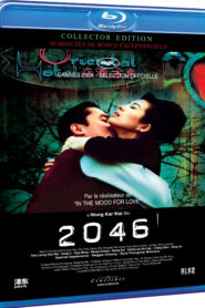 2046 (2004) Chinese BluRay H264 AAC 1080p 720p ESub