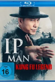 Ip Man Kung Fu Legend (2026) Dual Audio [Hindi ORG-Chinese] BluRay H264 AAC 1080p 720p 480p ESub
