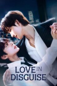 Love in Disguise (2026) S01E01 Dual Audio [Hindi ORG-Korean] Amazon WEB-DL H264 AAC 1080p 720p ESub