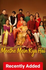Meethe Mein Kya Hai (2026) Hindi Netflix WEB-DL H264 AAC 1080p 720p 480p ESub