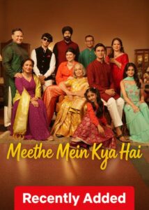 Meethe Mein Kya Hai (2026) Hindi Netflix WEB-DL H264 AAC 1080p 720p 480p ESub