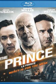 The Prince (2014) Dual Audio [Hindi ORG-English] BluRay H264 AAC 1080p 720p 480p ESub