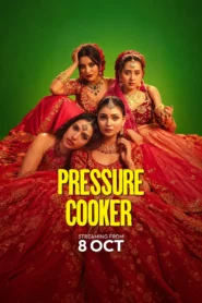Pressure Cooker (2026) Bengali Hoichoi WEB-DL H264 AAC 1080p 720p 480p ESub