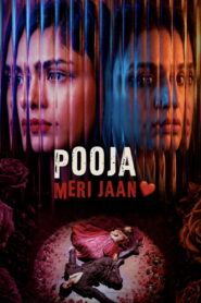 Pooja Meri Jaan (2026) Hindi Zee5 WEB-DL H264 AAC 4K 1080p 720p ESub
